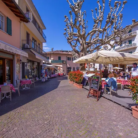 Camelia Rosa - Happy Apartmán Stresa